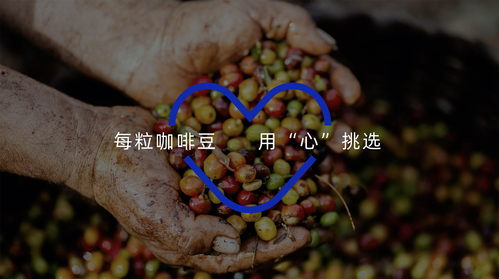 蓝趣咖啡品牌形象构建及包装设计
